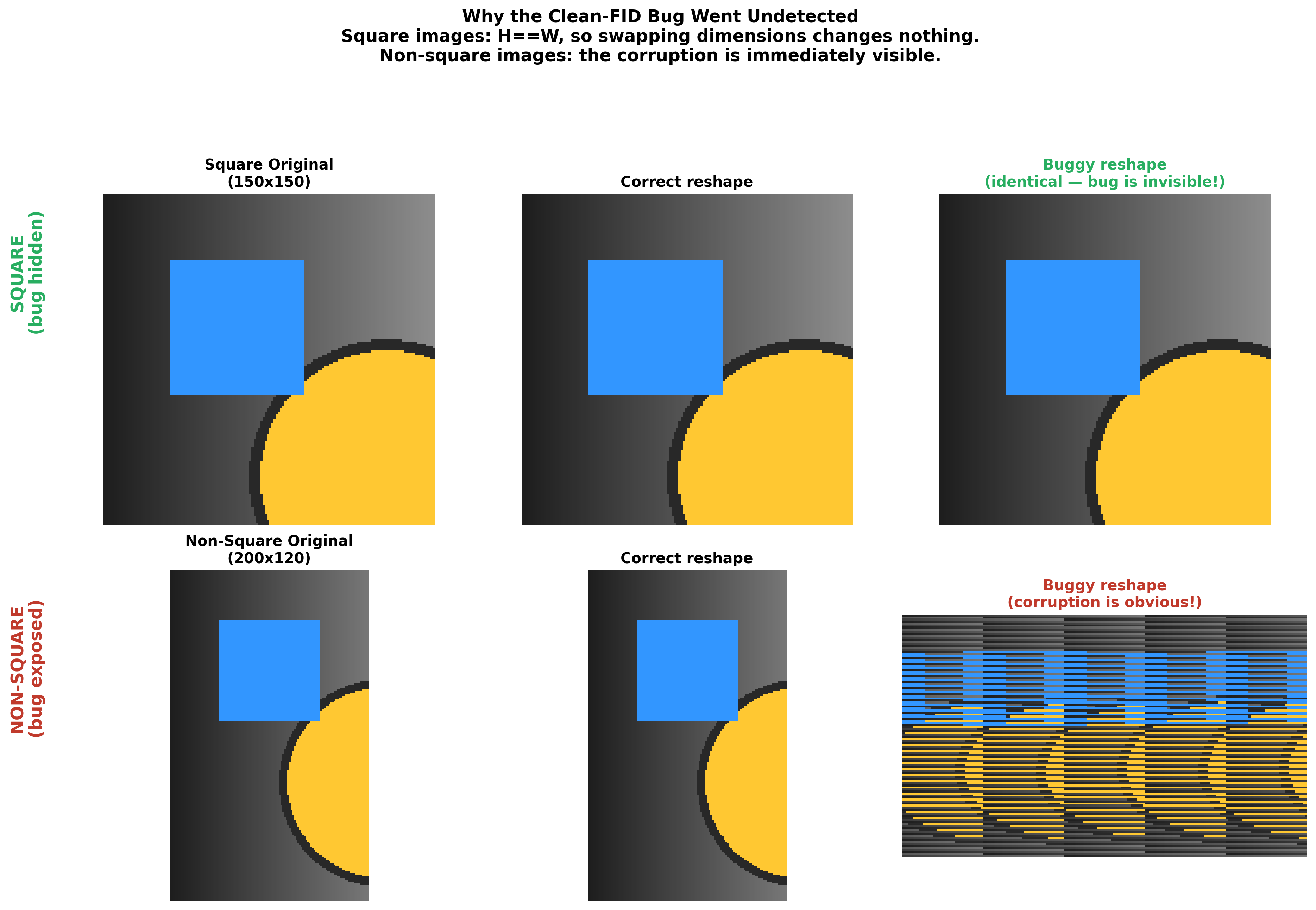 Square vs non-square reshape: why the bug was invisible for 299x299 images